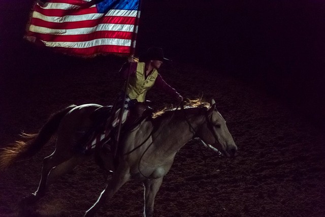 Fort Worth Rodeo